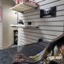 Photo of Lexus of Wayzata