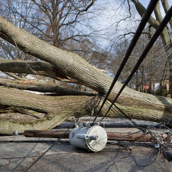 Thompson's Tree Service - Emergency tree removal gives you a fast response when a damaged tree puts your property at risk. - Tree Services Near Me Thompson's Tree Service - Emergency tree removal gives you a fast response when a damaged tree puts your property at risk. - Tree Services Near Me