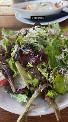 Antonia's Restaurant by null