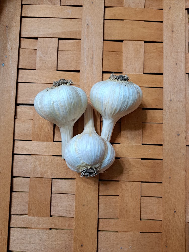 THE STRAWBERRY BASKET Updated August 2024 39 Photos 12591 Aetna