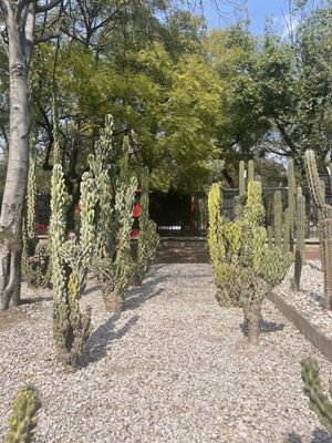 Jardín Botánico del Bosque de Chapultepec by null