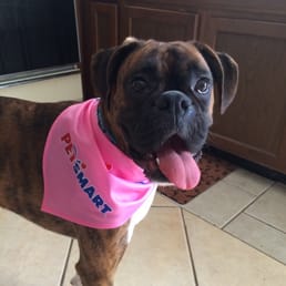 Bella loves Petsmart!! Bella loves Petsmart!!