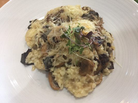 Bay Oaks Country Club by null