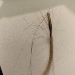 Glued hair had to be cut out. From eyelash fill. Horrible!!!