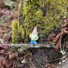 Gnomes Trail gift card