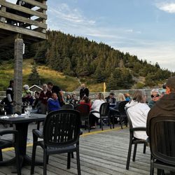 The Cat Stop Pub - Cat Stop's great deck
