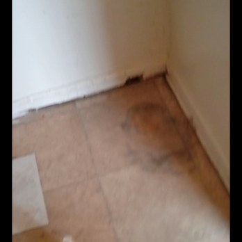 Reedy & Company - Tile on top tile mold on flooring. Instead of replacing patched it up - Real Estate Services Near Me - Memphis, Tennessee Reedy & Company - Tile on top tile mold on flooring. Instead of replacing patched it up - Real Estate Services Near Me - Memphis, Tennessee