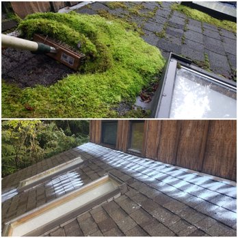 Three Bears Maintenance Extraordinaire - Moss treatment, before & after. - Pressure Washers Near Me Three Bears Maintenance Extraordinaire - Moss treatment, before & after. - Pressure Washers Near Me