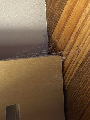 Bishop Arts Hotel by null