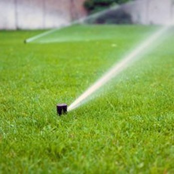 Don Jose Lawn Service - a sprinkler spraying a lawn - Lawn Services Near Me Don Jose Lawn Service - a sprinkler spraying a lawn - Lawn Services Near Me