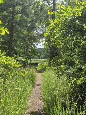 Henricus Historical Park by null