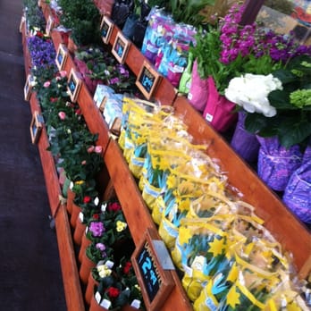 Trader Joe's - Good flowers for the price!!! - Grocery Near Me - Fair Oaks, California