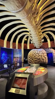 The Health Museum by null