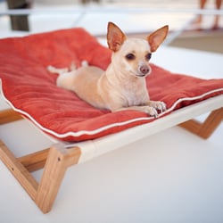 1 Of The Family, Sustainable Pet Boutique & Spa - Sustainable Pet Boutique & Salon