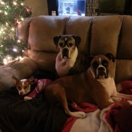 Sampson, Bella and Diezel Sampson, Bella and Diezel