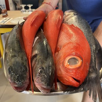 Rosa dos Ventos - Very fresh sea bass and res snapper. - Portuguese Near Me - Nazaré, 10 Rosa dos Ventos - Very fresh sea bass and res snapper. - Portuguese Near Me - Nazaré, 10