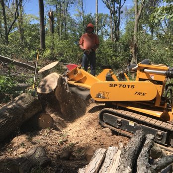 Johnie B's Stump Grinding - Doing a uprooted stump in Hamden from the tornado! - Tree Services Near Me Johnie B's Stump Grinding - Doing a uprooted stump in Hamden from the tornado! - Tree Services Near Me