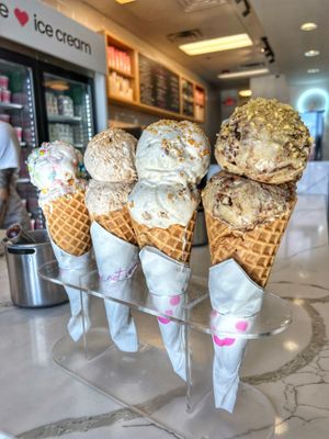 Sorry Not Sorry Creamery - Flamingo by null