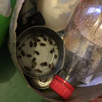 Integrity Property Management - Disgusting. - Property Management Near Me - Burbank, California Integrity Property Management - Disgusting. - Property Management Near Me - Burbank, California