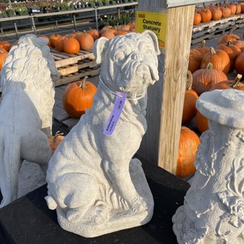 Vandermeer Nursery - Vandermeer Nursery & Garden Centre - make a statement with these casts - Nurseries & Gardening Near Me - Ajax, Ontario