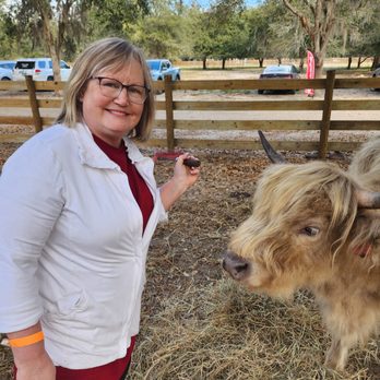 Whispering Oaks Miniature Ranch - Attraction Farms Near Me - Clermont, Florida Whispering Oaks Miniature Ranch - Attraction Farms Near Me - Clermont, Florida