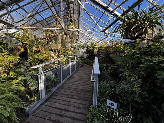 Allan Gardens Conservatory by null