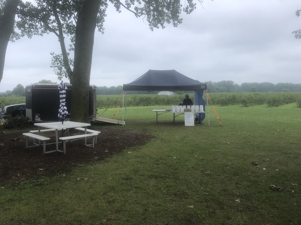 KLUG’S BLUEBERRY FARM Updated August 2024 11984 Landon Rd, Baroda