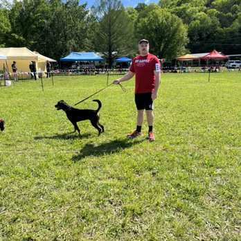 Big Dawgz BTI - One of my personal dogs at her first dog show - Pet Training Near Me - Garner, North Carolina Big Dawgz BTI - One of my personal dogs at her first dog show - Pet Training Near Me - Garner, North Carolina