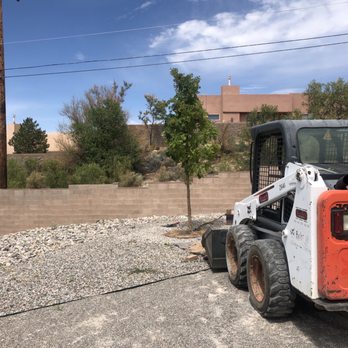 ABQ Landscaping - Trees planted - Landscaping Near Me - Albuquerque, New Mexico