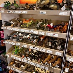 Toy Topia - Prehistoric animal figured