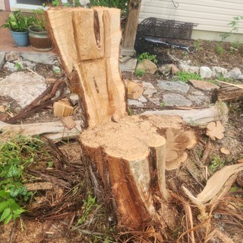 A to Z Complete Tree Service - Tree Services Near Me A to Z Complete Tree Service - Tree Services Near Me