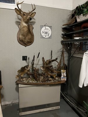 Cafe Adirondack Restaurant & Wine Room by null