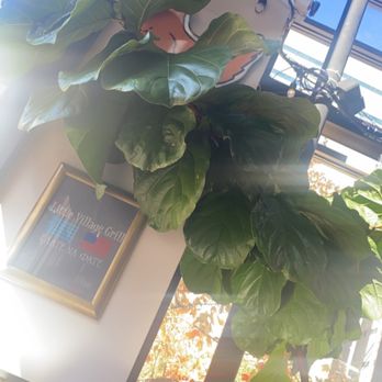 Little Village Grill - Inside of restaurant - Greek Near Me - Charlotte, North Carolina Little Village Grill - Inside of restaurant - Greek Near Me - Charlotte, North Carolina