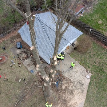 Grandview Tree & Arbor Care - Tree Services Near Me - Bartonville , Illinois Grandview Tree & Arbor Care - Tree Services Near Me - Bartonville , Illinois