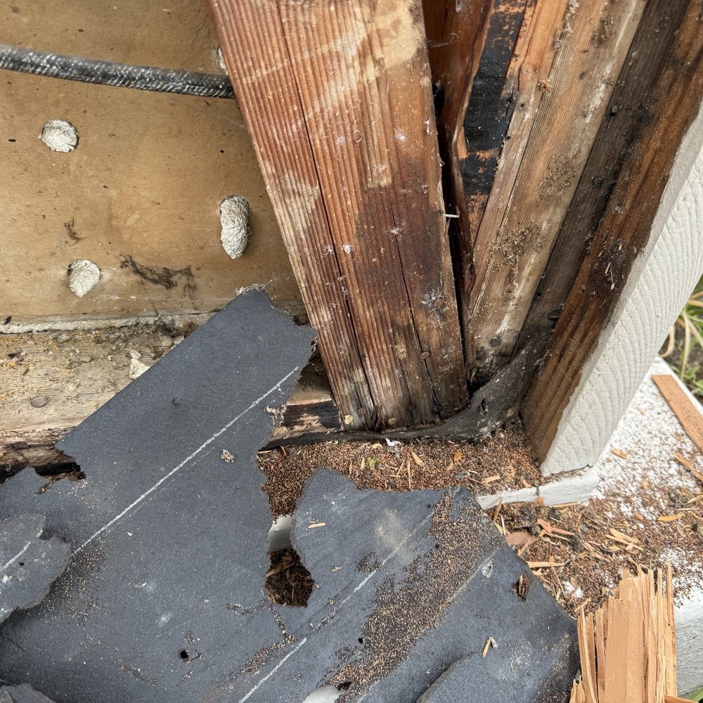 Foothill Termite Control - Termite dropping - Pest Control Near Me - Monrovia, California Foothill Termite Control - Termite dropping - Pest Control Near Me - Monrovia, California