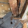 Photo of Foothill Termite Control