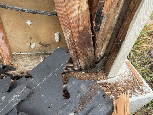 Foothill Termite Control