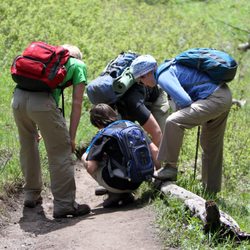 Walking Shadow Ecology Tours of Yellowstone - Taking a closer look in Yellowstone.