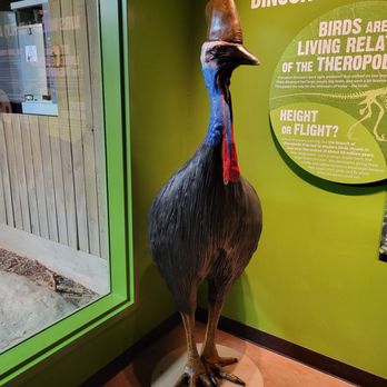 Greensboro Science Center - Zoos Near Me - Greensboro, North Carolina Greensboro Science Center - Zoos Near Me - Greensboro, North Carolina