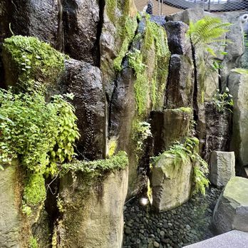 Amazon Spheres - Botanical Gardens Near Me - Seattle, Washington