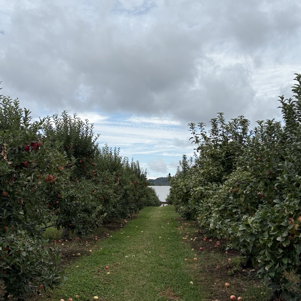 Barton Orchards - Orchard and apple trees - Farmers Market Near Me - Poughquag, New York Barton Orchards - Orchard and apple trees - Farmers Market Near Me - Poughquag, New York