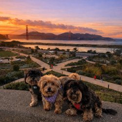Greatest view in SF