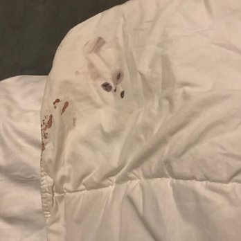 NYAH - Bloody comforter - I saw this on the last day. - Hotels Near Me - Key West, Florida
