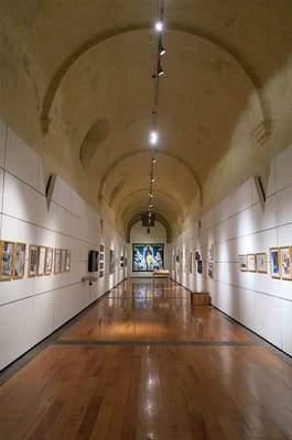 Museo San Pedro de Arte by null