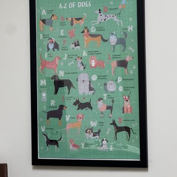 Hyde Park Veterinary Clinic - Veterinarians Near Me - Tampa, Florida Hyde Park Veterinary Clinic - Veterinarians Near Me - Tampa, Florida