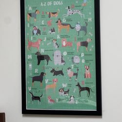Hyde Park Veterinary Clinic