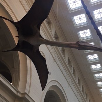 Field Museum - Museums Near Me - Chicago, Illinois