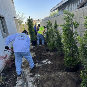 Cova's Landscape - Landscaping Near Me Cova's Landscape - Landscaping Near Me