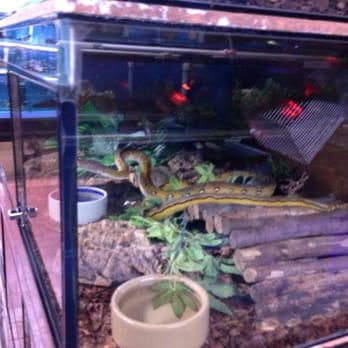 Crystal Palace Reptiles - Pet Stores Near Me - London, XGL