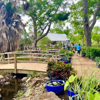 Enchanted Forest - Nurseries & Gardening Near Me - Richmond, Texas